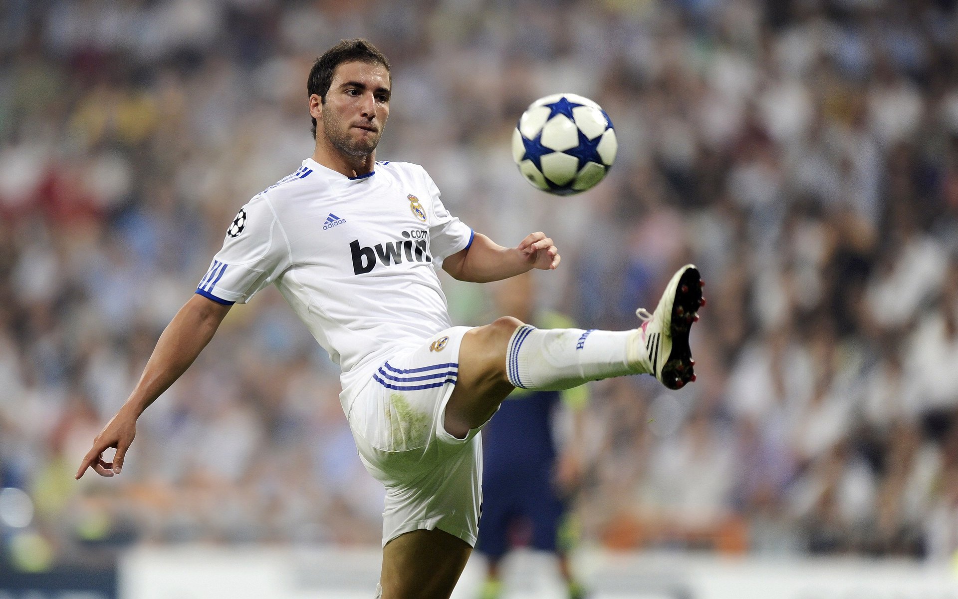 未来几年中国足球将迎来全面升级的黄金时代，中国足球未来的希望在哪里